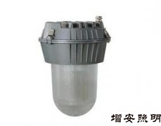 TG720防眩平臺(tái)泛光燈